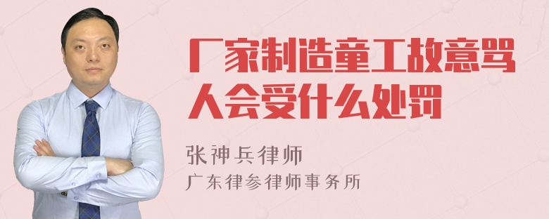 厂家制造童工故意骂人会受什么处罚