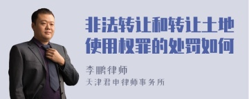 非法转让和转让土地使用权罪的处罚如何