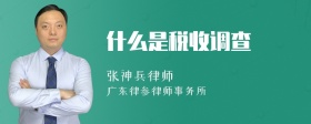 什么是税收调查