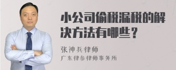 小公司偷税漏税的解决方法有哪些？