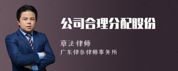 公司合理分配股份