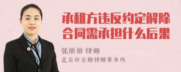 承租方违反约定解除合同需承担什么后果