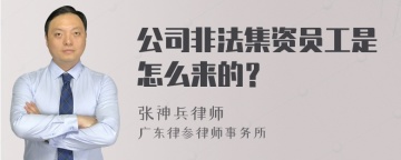 公司非法集资员工是怎么来的？