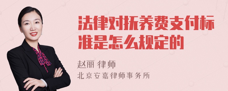 法律对抚养费支付标准是怎么规定的