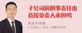 子公司的刑事责任由直接负责人承担吗