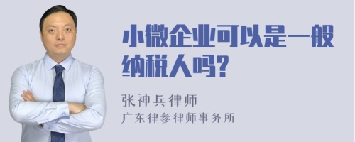 小微企业可以是一般纳税人吗?