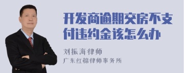 开发商逾期交房不支付违约金该怎么办