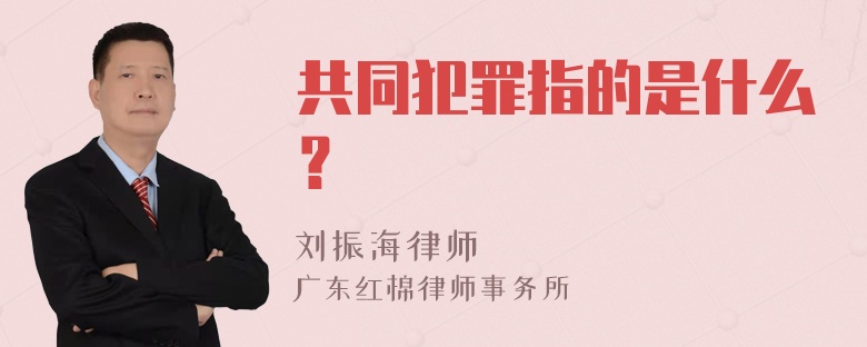 共同犯罪指的是什么？