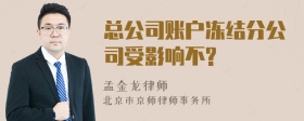 总公司账户冻结分公司受影响不?