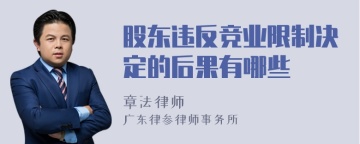 股东违反竞业限制决定的后果有哪些