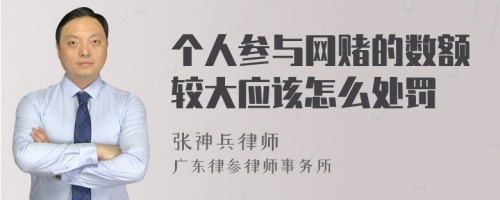 个人参与网赌的数额较大应该怎么处罚