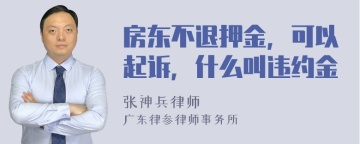 房东不退押金，可以起诉，什么叫违约金