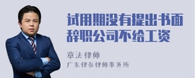 试用期没有提出书面辞职公司不给工资