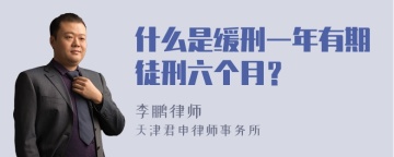 什么是缓刑一年有期徒刑六个月？