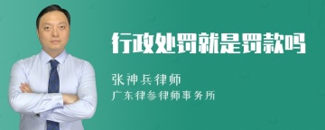 行政处罚就是罚款吗