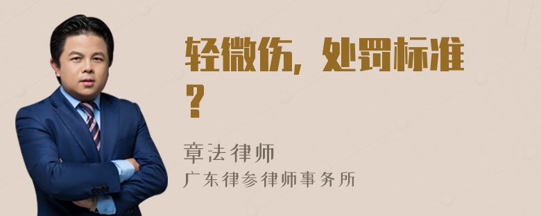 轻微伤, 处罚标准?