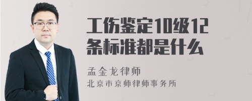 工伤鉴定10级12条标准都是什么