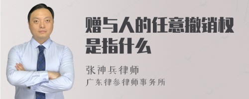 赠与人的任意撤销权是指什么