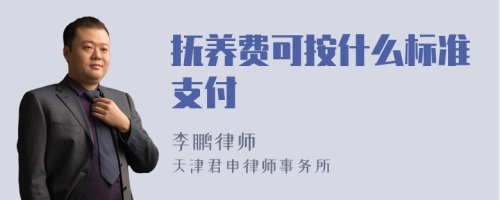 抚养费可按什么标准支付