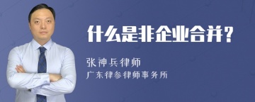 什么是非企业合并？