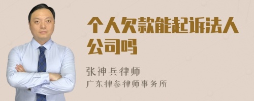 个人欠款能起诉法人公司吗