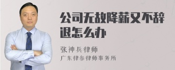 公司无故降薪又不辞退怎么办