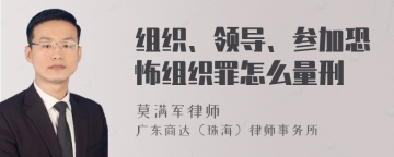 组织、领导、参加恐怖组织罪怎么量刑