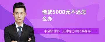 借款5000元不还怎么办