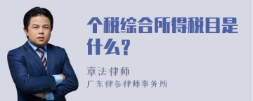 个税综合所得税目是什么？