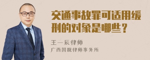 交通事故罪可适用缓刑的对象是哪些？