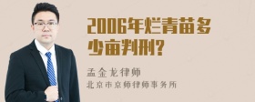 2006年烂青苗多少亩判刑?