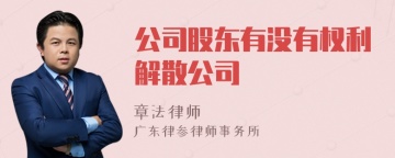 公司股东有没有权利解散公司