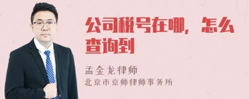 公司税号在哪，怎么查询到