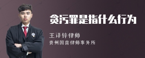 贪污罪是指什么行为