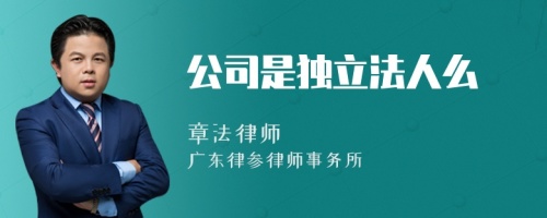 公司是独立法人么