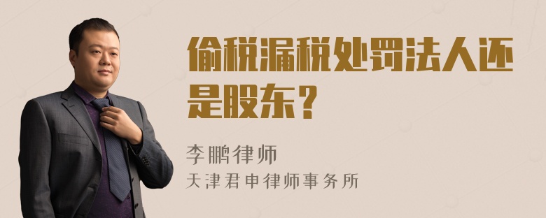 偷税漏税处罚法人还是股东？