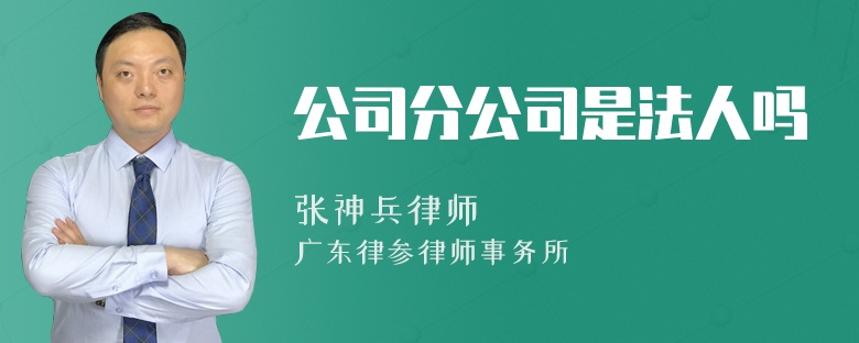 公司分公司是法人吗