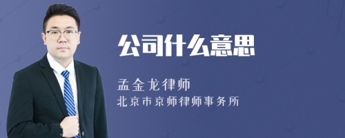 公司什么意思