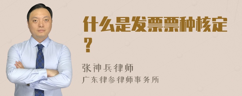 什么是发票票种核定？