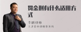 罚金刑有什么适用方式