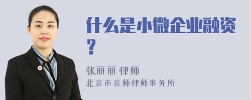 什么是小微企业融资？