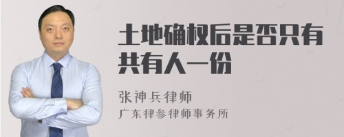 土地确权后是否只有共有人一份