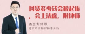 网贷多少钱会被起诉，会上法庭，附律师