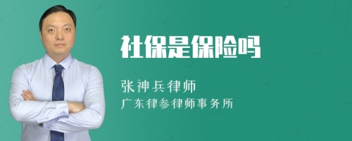 社保是保险吗