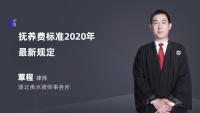 抚养费标准2020年最新规定