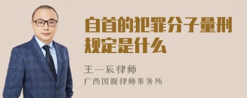 自首的犯罪分子量刑规定是什么