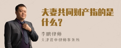 夫妻共同财产指的是什么？