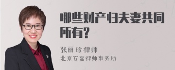 哪些财产归夫妻共同所有?