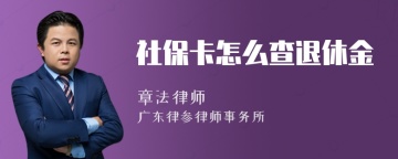 社保卡怎么查退休金