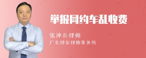 举报网约车乱收费